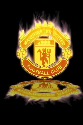 的足球环境 的足球环境